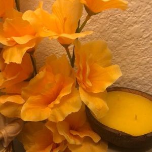 Meet your Posher, Dinorah